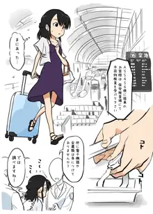 やりすぎな手荷物検査, 日本語