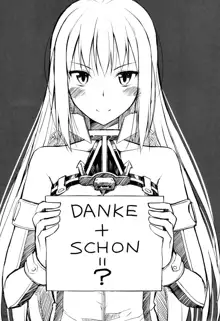 DANKE+SCHON, 日本語