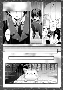 Nyancology 5 -Usami-san to Himitsu no Misshitsu-, 한국어