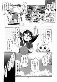 Rockman_Dash_2_, 日本語