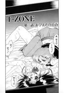 T-ZONE, 日本語