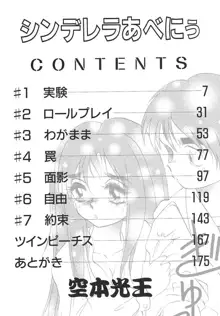 シンデレラあべにぅ, 日本語