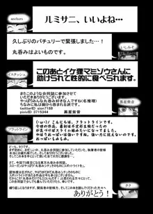 東方丸呑録 真打, 日本語