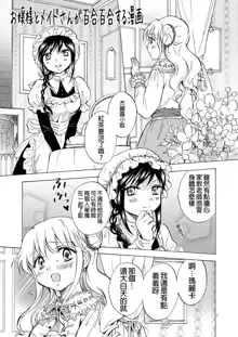 Ojou-sama to Maid-san ga Yuriyuri Suru Manga, 中文