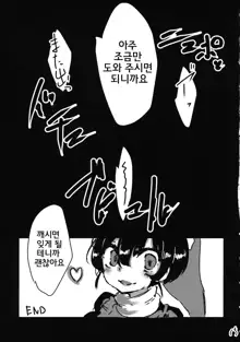 Yumemiusagi | 꿈꾸는 토끼, 한국어