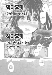 My Dangerous Fairy (COMIC Anthurium 2016-10) | 나의 위험한 소악마, 한국어