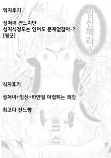 Oppai Grand Order Sairin | 가슴 그랜드 오더 재림, 한국어