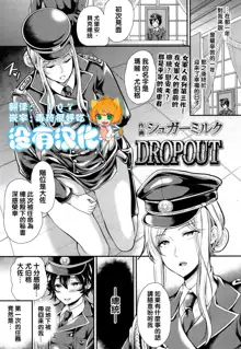 DROPOUT, 中文