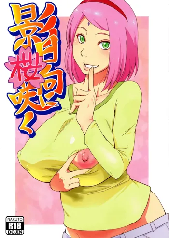 Kage Hinata ni Sakura Saku, English