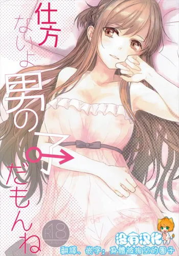 Shikata Naiyo Otokonoko Damon ne, 中文