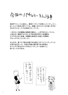 紅魔館へようこそ, 日本語