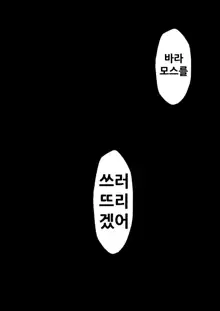 Moyomoto 4, 한국어