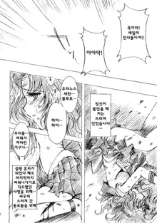 Kedakaki Senshi no Kuppuku | 긍지 높은 전사의 굴복, 한국어