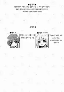 Onee-san no Heya ni Hitoban dake | 누나의 방에서 하룻밤만, 한국어